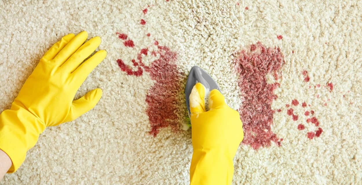 Blutflecken aus Teppich entfernen